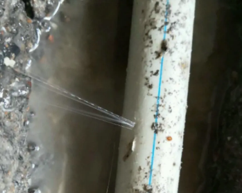 双桥卫生间测漏水多少钱